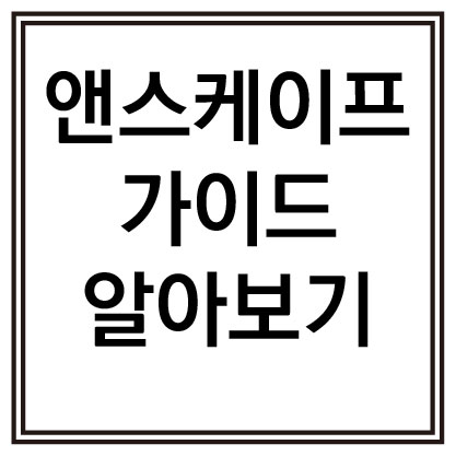 앤스케이프